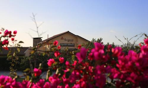 Viesnīcas āriene, Hotel Origenes in Vallenara