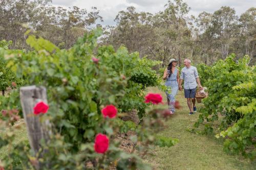 Spicers Vineyards Estate
