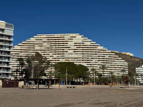 Florazar II 5 2