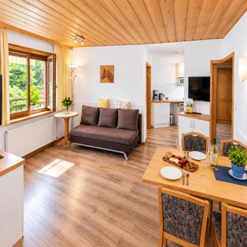 Ferienwohnung Wilder Kaiser & Kitzbüheler Alpen SkiWelt & Hohe Salve ITD099