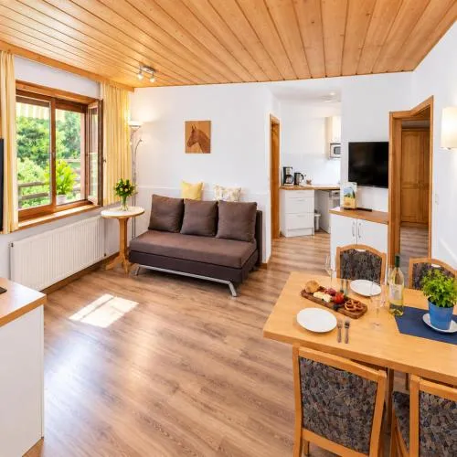 Ferienwohnung Wilder Kaiser & Kitzbüheler Alpen SkiWelt & Hohe Salve ITD099 in Itter, Österreich