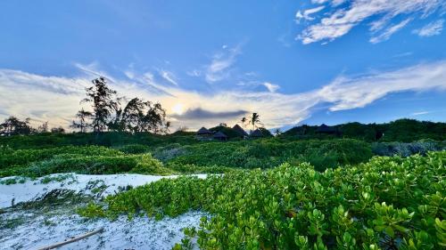 Watamu Beach Cottages B&B 5