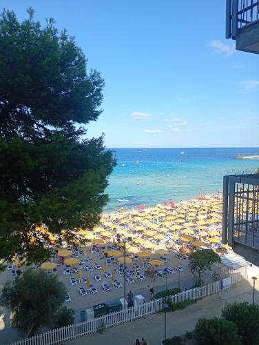 Sapore di mare