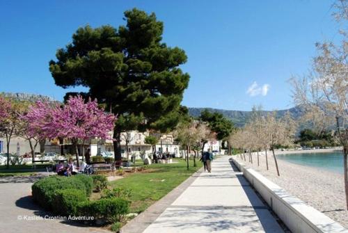 Two-Bedroom Apartment image 5