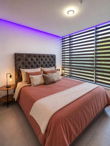 Suite de lujo confort y spa La Carolina in El Batan