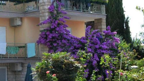 Villa Bencun