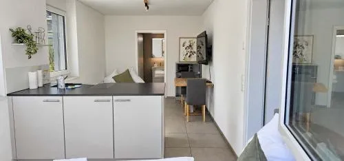 Bluemlisalp Studio - Aare Jungfrau AG in Spiez, Schweiz