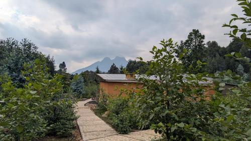 Gahinga Community Lodge in Kinigi