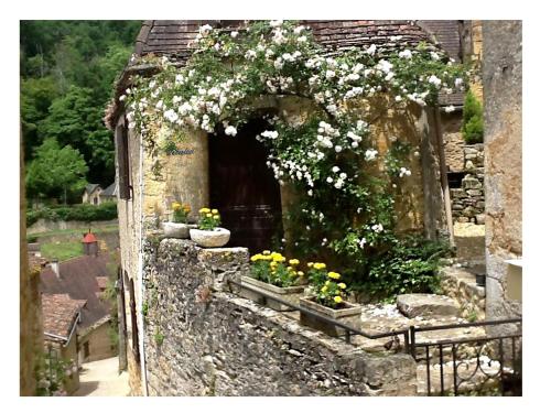 Au coeur de Beynac, maison authentique avec vue magique sur la rivière - Location saisonnière - Beynac-et-Cazenac