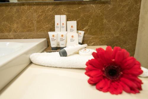 Boutique Hotel Kotoni, Tirana (foto 3)