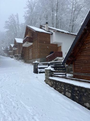 ทัศนียภาพภายนอกโรงแรม, Z-Mountain Villa Brezovica for Families & Groups in เปรวัลเล