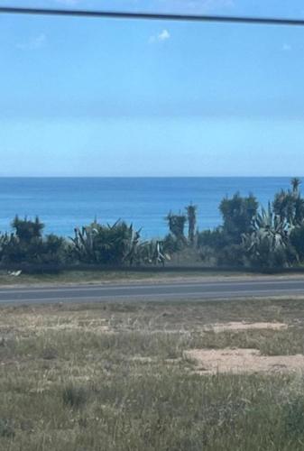 Dtos 02 playas del sur
