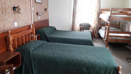 Mornington Hotel - image 2