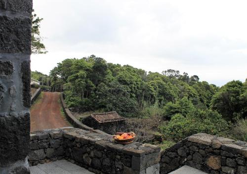 Pico Formoso Vínea Lava Alojamentos Pico