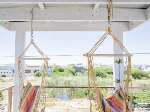 Vista, Red Bishop - Birds, Beach & Beauty in Langebaan