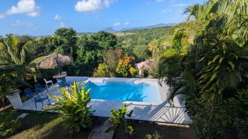 Colibri Villa Sainte Luce 4