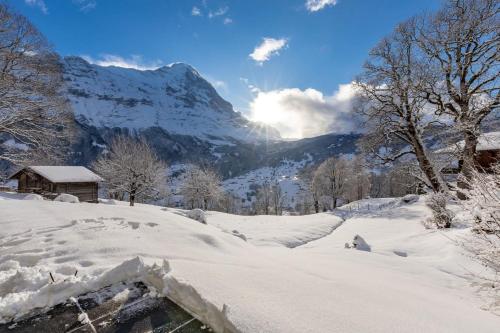Schuerli Apartment - Aare Jungfrau AG