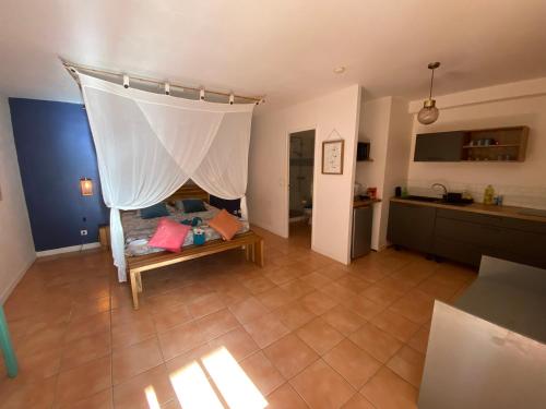 Colibri Villa Sainte Luce 3