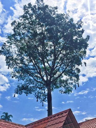 Hosteria Don Elias in Shell