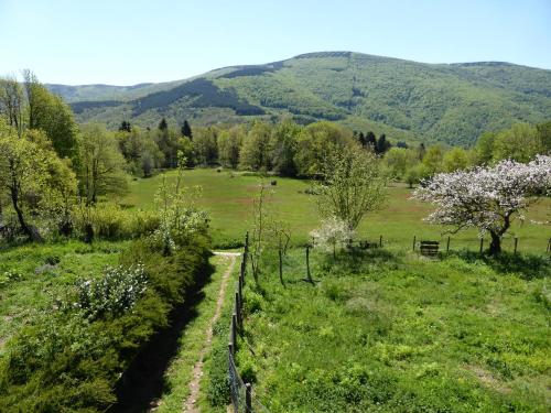 B&B Bouton D'Or La Bouriotte