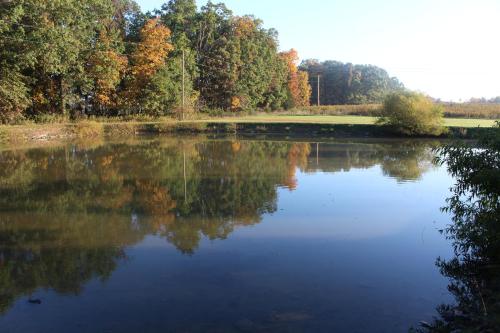 The Inn at White Oak