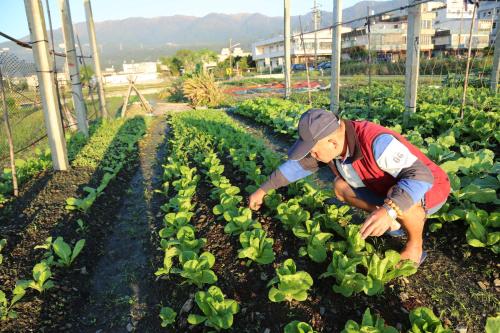菜爺爺親子蔬宿Vegepapa B&B