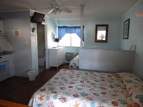 Studio (4 Adults)
