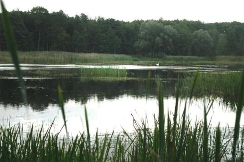 Ferienwohnungen Kuchelmiß SEE 6922