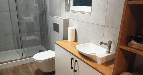 Душ, Domek Brzóze Duże (Domek Brzoze Duze) in Rozan