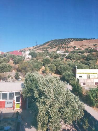 Dar Dyafa Tazi Abdelhak in 타자
