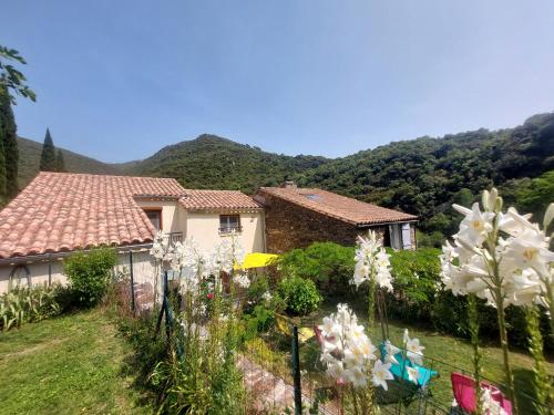 La Fontchaude, gîte de charme au cœur de la nature à Cabrespine gîte à louer Cabrespine