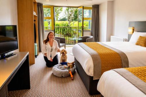 Newtown Park Hotel in Wexford
