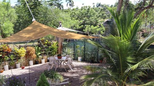 Garden, CasaMia RD B&B in Rio San Juan