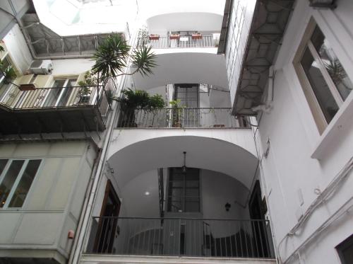 Santa Lucia 50 - image 2