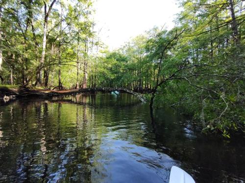 Rural Retreat for Outdoor Enthusiasts in Brooksville (FL)