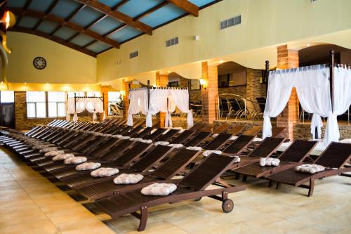 Hotel Imperial Inn - image 12