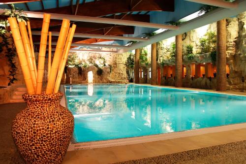 Peldbaseins, Hotel Imperial Inn in Targumuresa