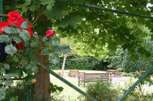 Ardboyne Hotel - image 11