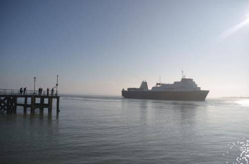 Lady Hamilton - image 6