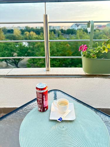 Rotonda apartment in Lugoj