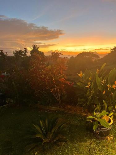 TI Caraibea in Riviere-Pilote