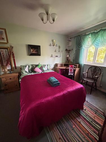 Cosy room in London Wembley, Londýn
