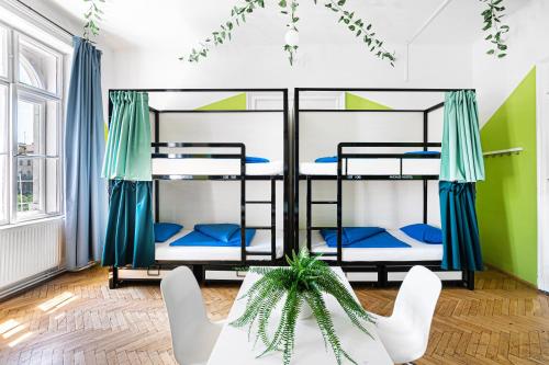 Avenue Hostel, Budapešť (fotografie 2)