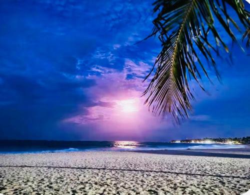 Tropical Hotel Punta Cana 3