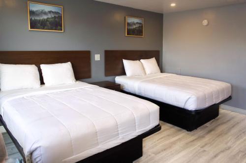Elect Inn 5 in Cornwall (Ontario)