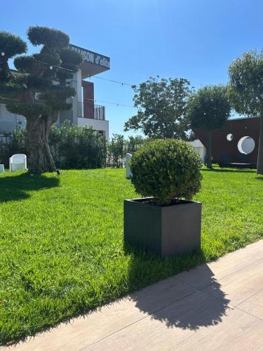 Maison d'Elite in Мариляно