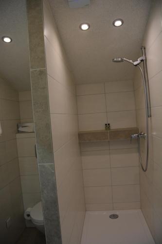 Bathroom, Alpina Hotel in Rosenheim