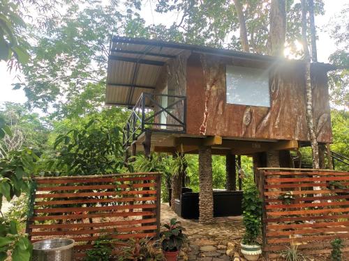 casa en el arbol aguazul