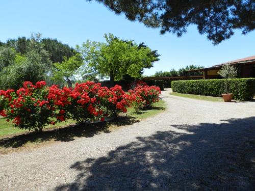 Agriturismo Fusini