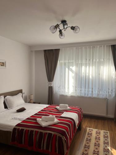 Casa Bunicii in Humulești